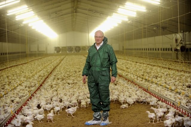 Image: Entdecken Sie die Spannende Welt von Chicken Road im Online Casino Deutschland