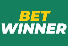 Discover the Best of BetWinner Casino A Comprehensive Guide