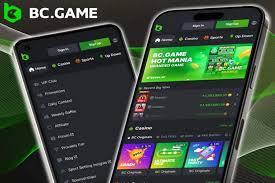 Experience the Thrill of Online Gambling with BC Game Casino