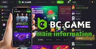 Exploring the BC.Fun Mirror Site for BC.Game Features and Benefits