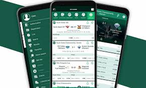 Comprehensive BetWinner Review The Ultimate Betting Experience Comprehensive BetWinner Review The Ultimate Betting Experience