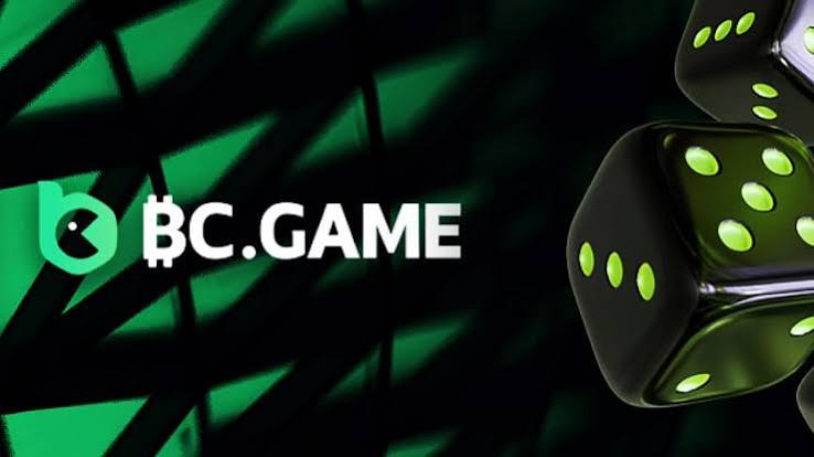 Exploring the Innovative Features of BC.Game Platform
