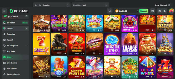 Exploring the Innovative Features of BC.Game Platform